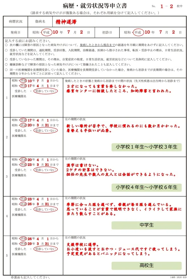 知的障害の病歴・就労状況等申立書