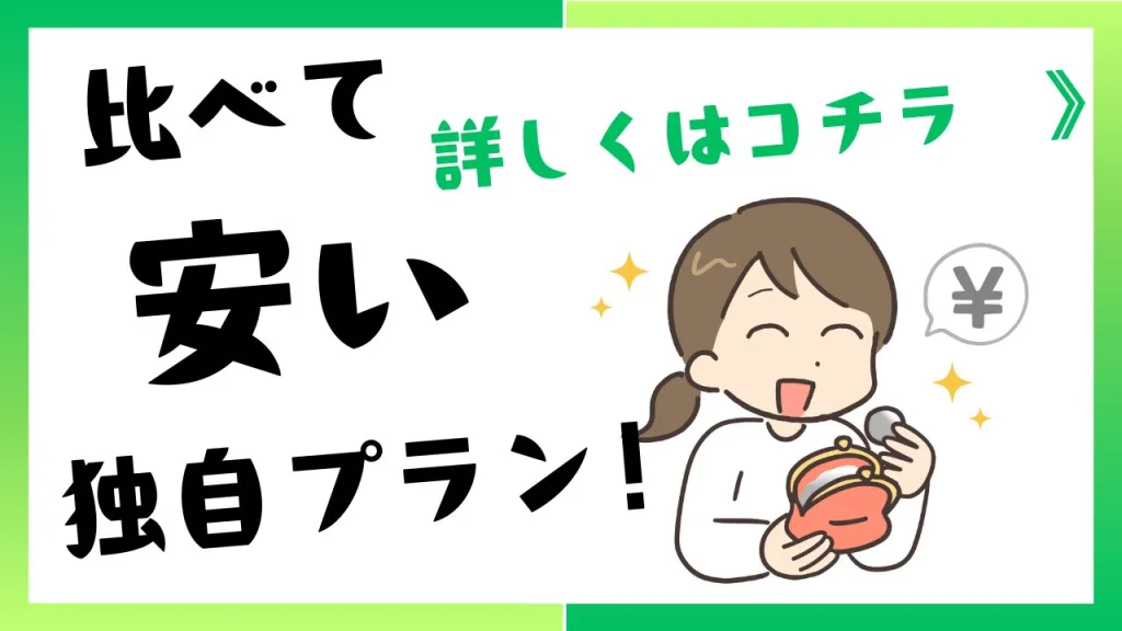 比べて安い独自プラン
